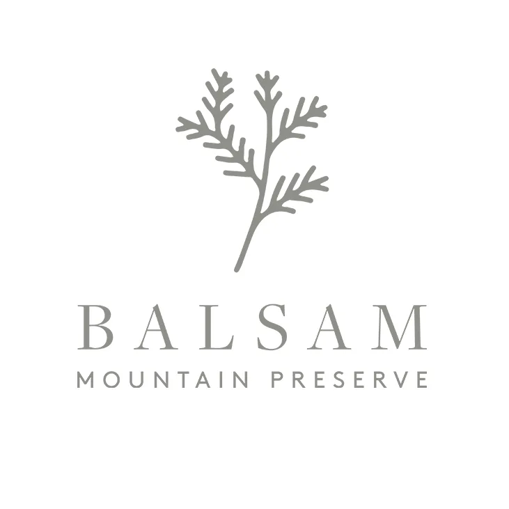 Balsam Mountain Preserve impulsa el pickleball con nueva instalación en los Blue Ridge Mountains
