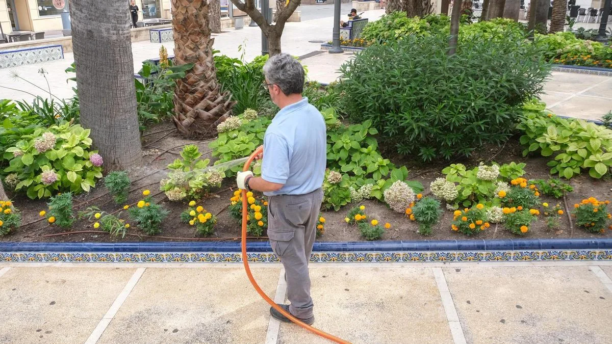 Elche adjudica un contrato de mantenimiento de zonas verdes por 18,5 millones con proyección a cinco años