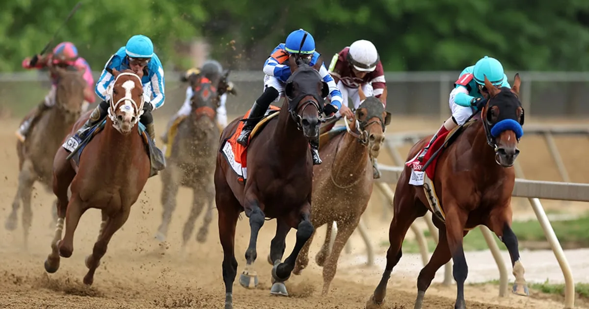 Cambios en el calendario del Preakness generan incertidumbre sobre la Triple Corona